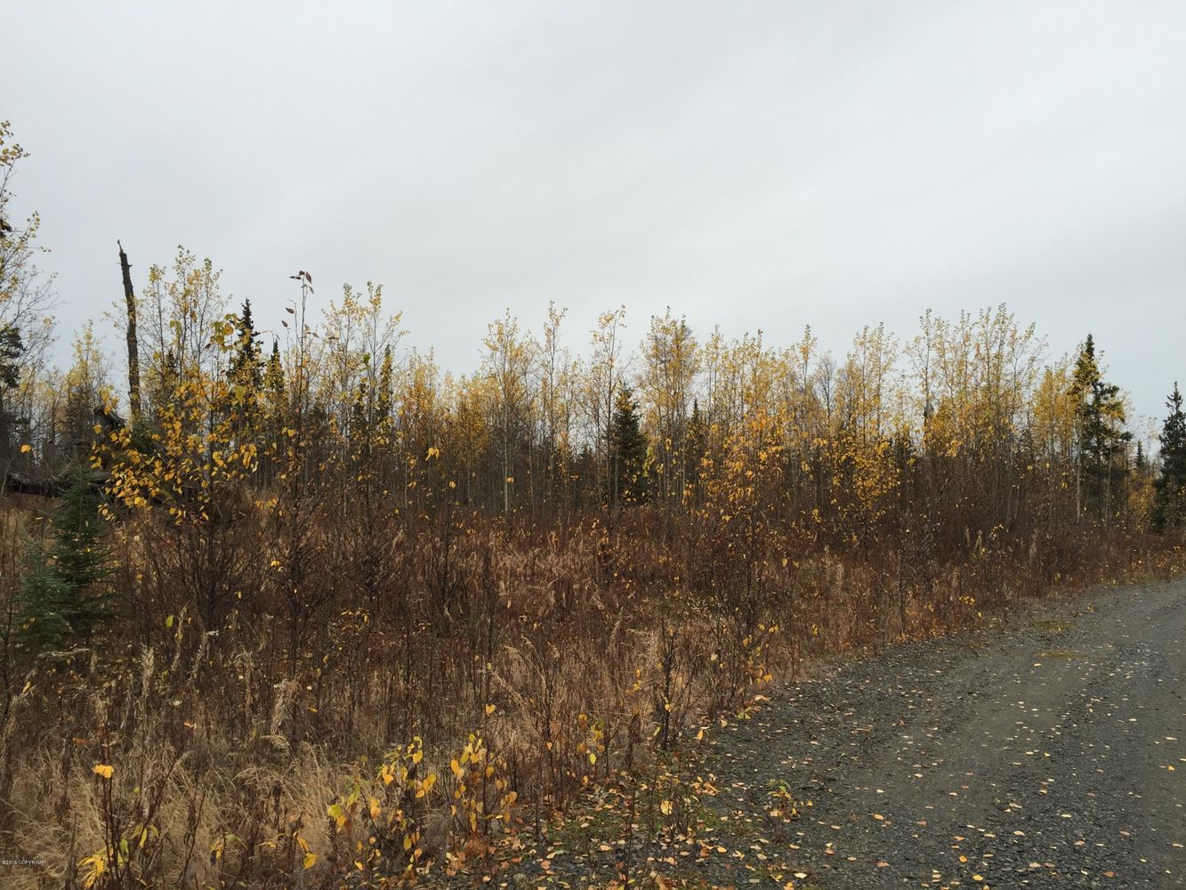 63885 Tailwind Rd, Ninilchik, AK 99639